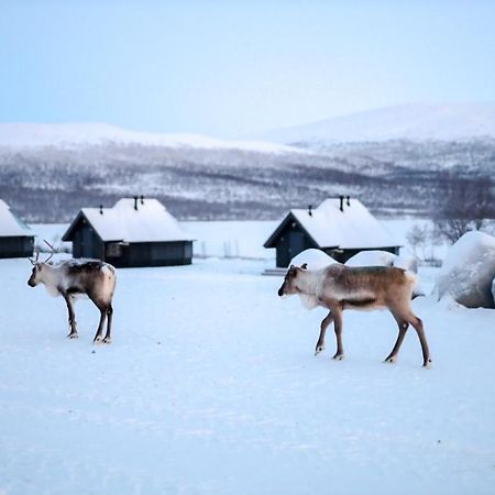 Arctic Land Adventure Glass Igloos Kilpisjärvi Εξωτερικό φωτογραφία