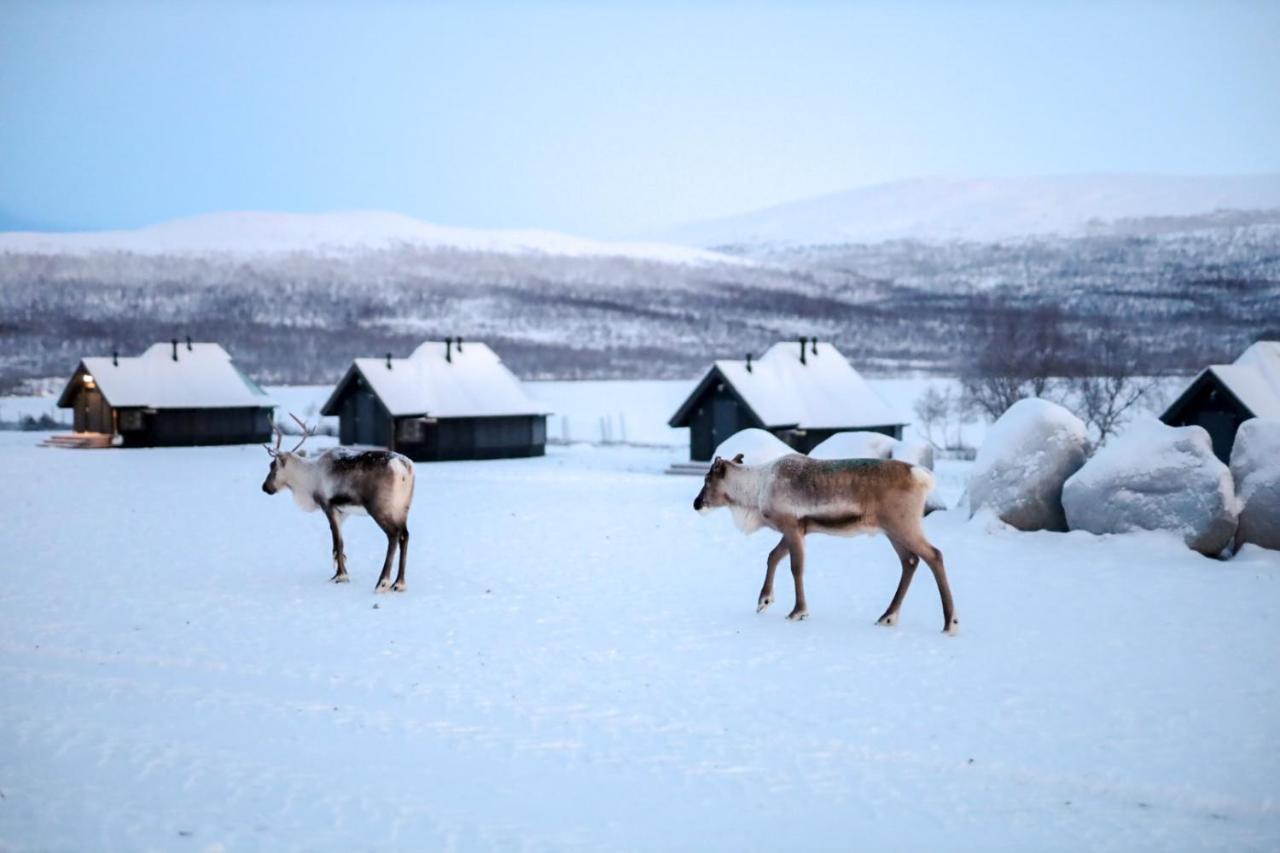 Arctic Land Adventure Glass Igloos Kilpisjärvi Εξωτερικό φωτογραφία