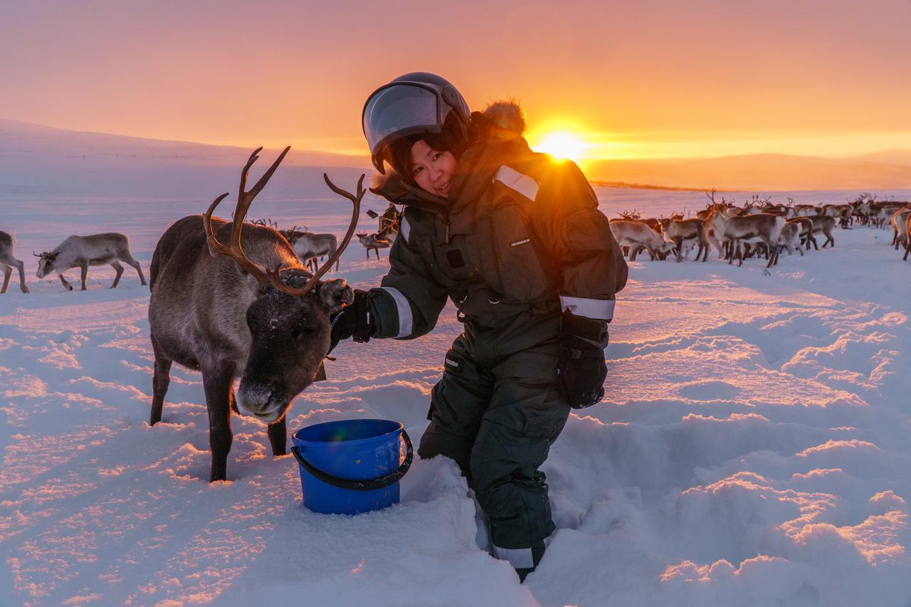 Arctic Land Adventure Glass Igloos Kilpisjärvi Εξωτερικό φωτογραφία